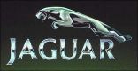 jaguar car logo